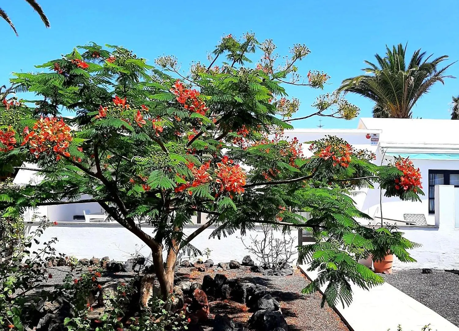 Villa Justina 1 Playa Blanca